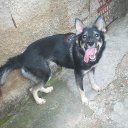 jesus andrade (@02jesus_123) Twitter