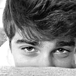 _GatoPraVoces Profile Picture