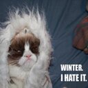 Lisa Courson - @lalc1967 - Twitter