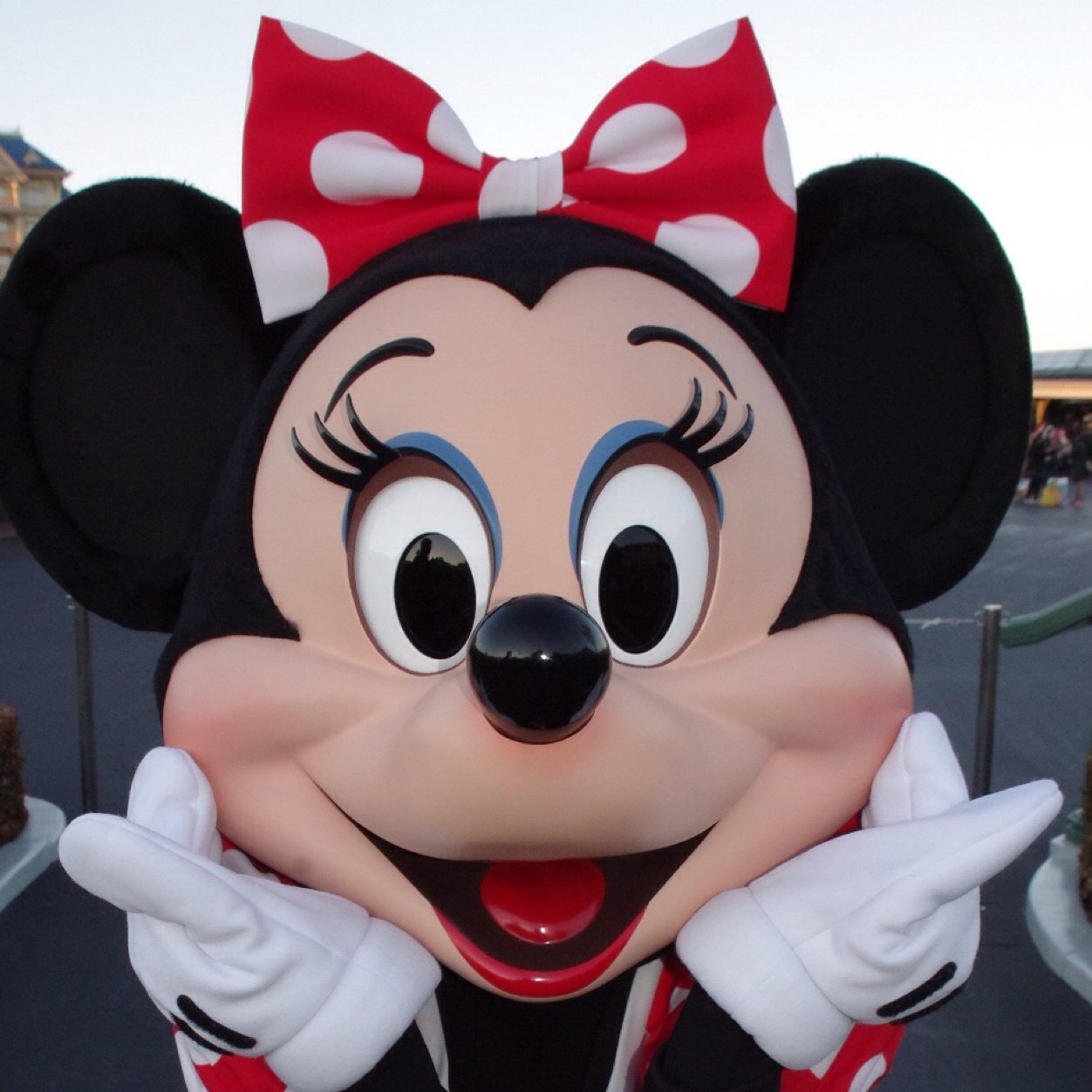 アラフォーのディズニー大好きなｷｬﾗｦﾀ。劇団四季が好き。脳内ポイズンベリーで知ってうつかれ見たら沼にハマって現在FANTASTICSの八木勇征推し(でもほぼ箱推し)