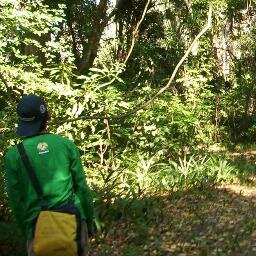 abayu99's profile picture. Invisible mode: on