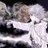 a_rage_tool's profile image