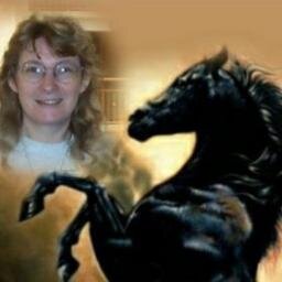 Hi everyone..=)...My name is Sharon Klein, and I am the owner of EQ-CLONIA STUDIOS...This is my Model Horse Customizing Business.