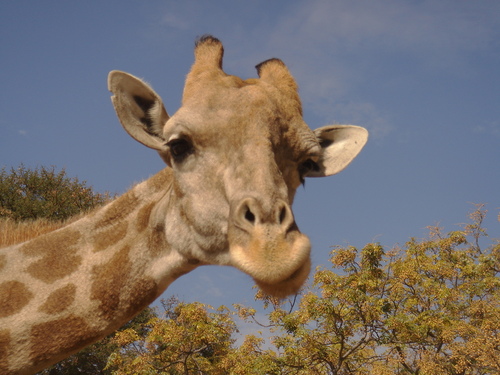 vineettanwar's profile picture. 