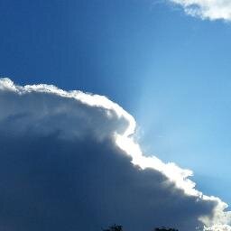 surrenderedla's profile picture. Journal of a Male Love Addict