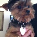 mickey day - @mickeyaday - Twitter