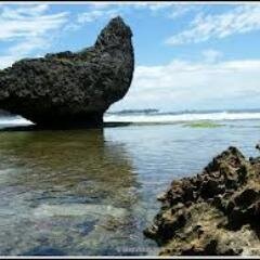 klapaloro's profile picture. 