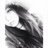 Ohwickedtoo's profile image