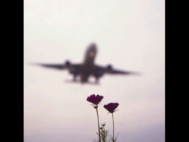 ‏‏ يستهويني تخليد الأشياء التي تراها عيناي .. فلذلك لي مع التصوير حكايات ، ‏‏ *اللهم اجعل لي أُناس يدعون لي بعد مماتي*