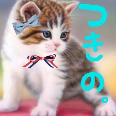 つきの。