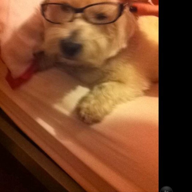 Shawdy67's profile picture. 