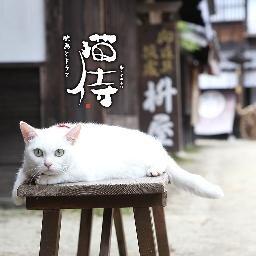 タコ部屋廃業して今は流離のドライバーw最近はBUCK-TICK多めの呟き。古参というのもおこがましい出戻り組ですが…💧気になるポストからの無言フォロー失礼します。