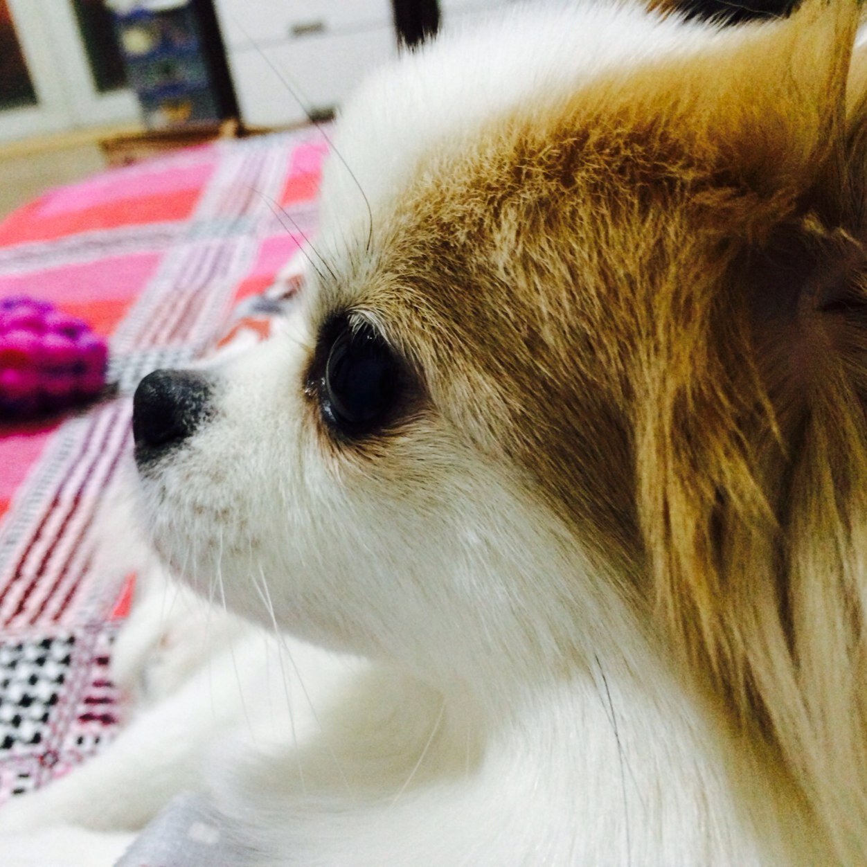 정의와 상식이 통하는 세상♥