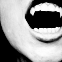 shaun ashton (@blood_desire) 's Twitter Profile