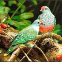 Ibrahim Ibne Shams - @IbrahimShams5 - Twitter