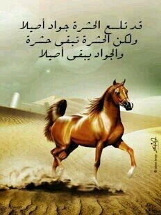 BDhamri's profile picture. 