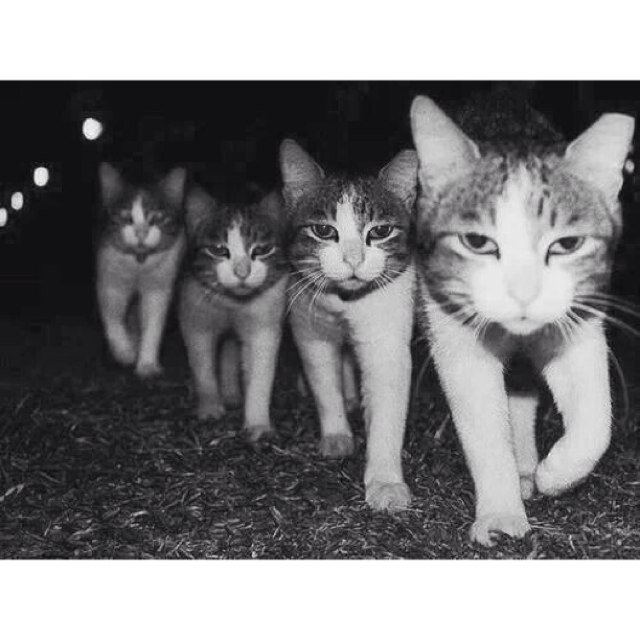 hjang__'s profile picture. 