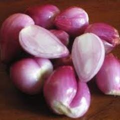 bergerak di bidang Jual bawang goreng, home made, dari bahan pilihan, gurih dan renyah daerah makassar bisa delivery. harga terjangkau. minat hub. 085398716669