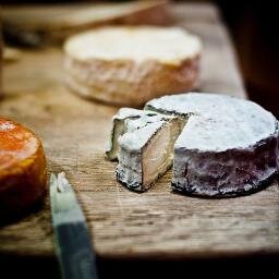 frencheese1's profile picture. 