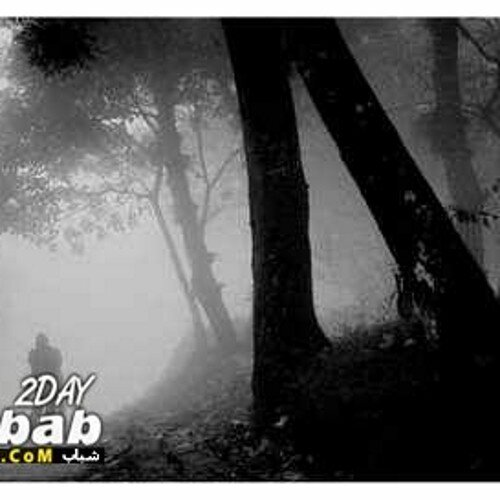 MagicM20's profile picture. 