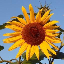 Handarbeit, Balsam für die Seele! 
Ich liebe schöne Stoffe und nähe mit leidenschaftlicher Begeisterung.