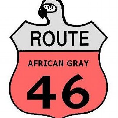Route46AGP's profile image