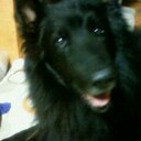 Leon (@0822545) Twitter