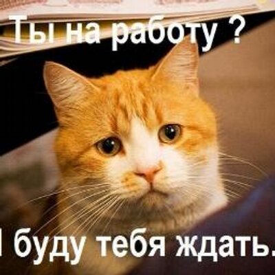 шлюхи в алма ата шлюхи в алма ата
