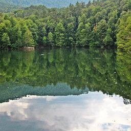 Hayvansever, lahmacun delisi, falan filan