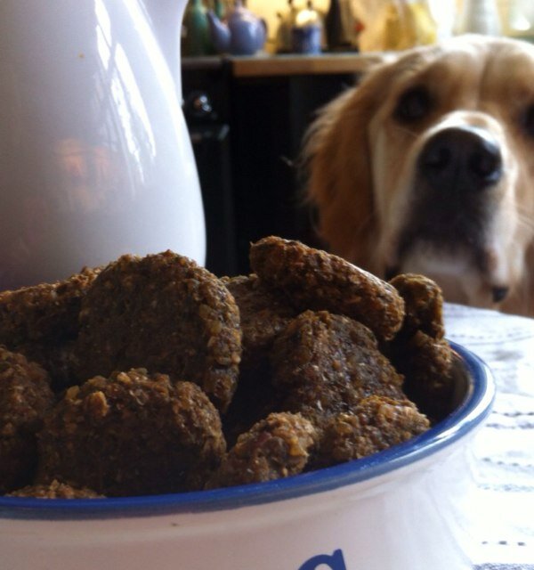 Delicious Delicacies for the Discerning Dog