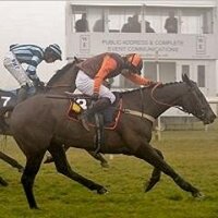 South Midlands P2P (@pointingsm) 's Twitter Profile