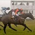 South Midlands P2P (@pointingsm) Twitter profile photo South Midlands P2P (@pointingsm) Twitter profile photo