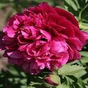 Christine Egger - @ChristineEgger2 - Twitter