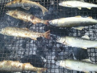 naoki270's profile picture. skateと海外旅行が趣味です