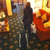 C. Buckthorn (@cbuckthorn) 's Twitter Profile