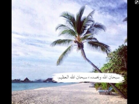 ‏‏‏‏‏اللهم اجعلها من السبعين الفا الذين يدخلون جنتك من غير حساب وﻻ سابق عذاب..اللهم استرها فوق الارض وتحت الارض ويوم العرض.@Shody_s1