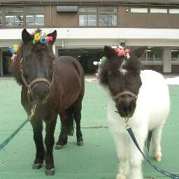 2024年4月から再び茨城県民になりました。
食べある記は狭く、深く。
脂っこいポストだらけですが、よろしくお願いいたします。