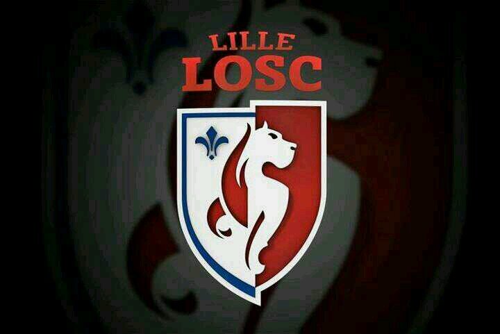 Toute l'actualité sur le Losc! #TeamLosc
