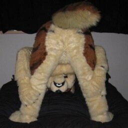 Horror story in the front; sex party in the back. (18+ Only | Level 40) Food Motivated. (❤️@ElibuckAD❤️) DM Friendly-Ish.