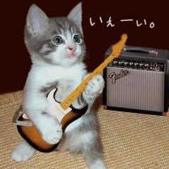 なるるんさんのプロフィール画像