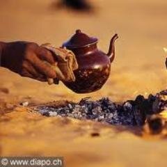 ELSERAFY0's profile picture. 