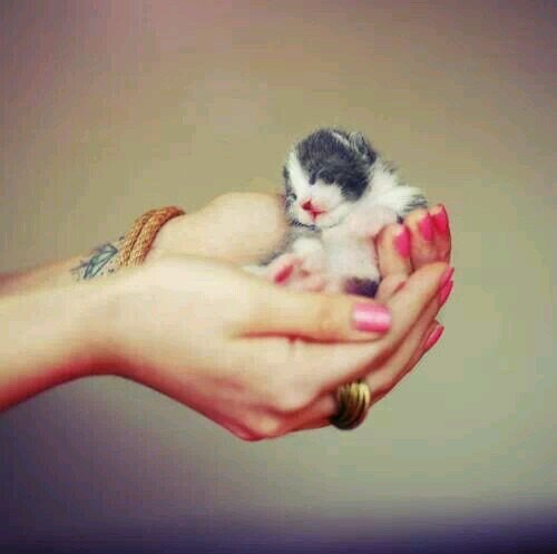 Welcome to My Twitter.....bgus ar klu followback, tpi jgan smbong plok....akan ku Unfollowed kau....