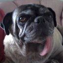 Dave Hammond - @DaveHammond20 - Twitter