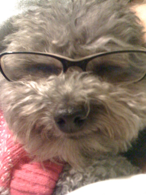 Choppina's profile picture. 