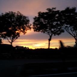 maixixi's profile picture. .