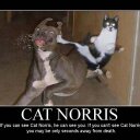 bret boyd - @woodsman_14 - Twitter