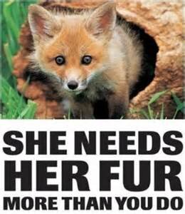 BrummieLaurence's profile picture. Passions - Family, Animal Rights