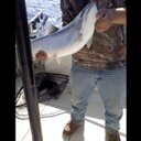 Corey Kowaleski (@grizzley199) Twitter