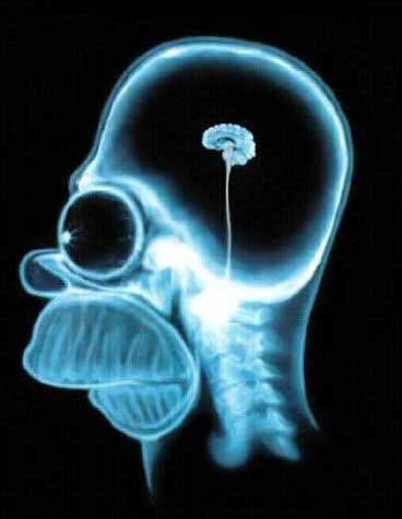 zolapaddy's profile picture. Rope wood butter