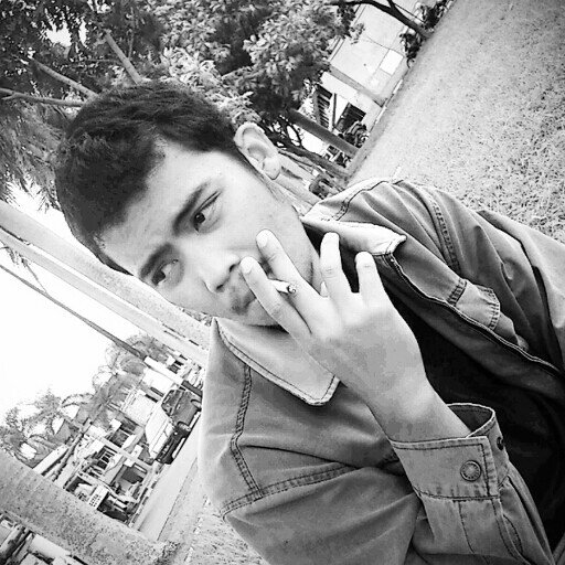 bagusreza Profile Picture